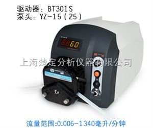 BT301SBT301S调速型蠕动泵