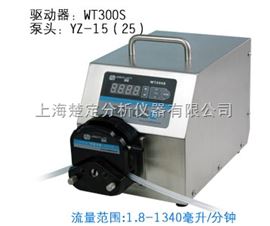 BT300SWT300S调速型蠕动泵