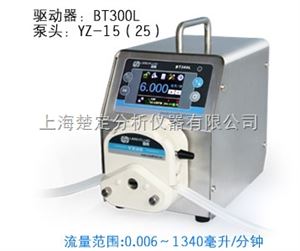 BT300LBT300L流量型智能蠕动泵