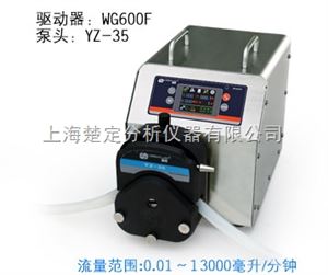 WG600FWG600F工业智能型蠕动泵